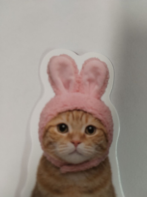 Kissa tarra.