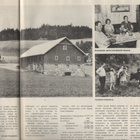 Karjatalous n:o 9 1972 Kalevi Rouvinen. Kiuruvesi.  Norja. - pikkukuva 4