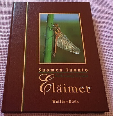 Suomen Luonto Eläimet Selkärangattomat