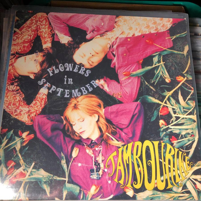 Flowers in September - Tambourine