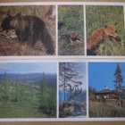 CCCP: Lapin luonnonsuojelualue - 15 kortin sarja - pikkukuva 2