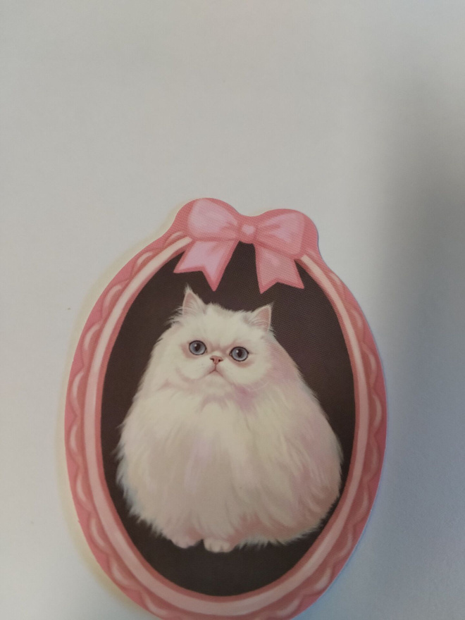 Kissa tarra.
