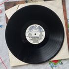 LP RAY CAMPI and his Rockabilly Rebels - pikkukuva 3