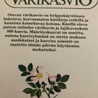 OTAVAN VÄRIKASVIO - pikkukuva 2