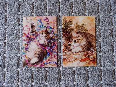 ~Kissa kortti~ 2kpl