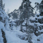 kortti **/° Hollola luonto kulttuuri tai Messilä - erilaisia - pikkukuva 1
