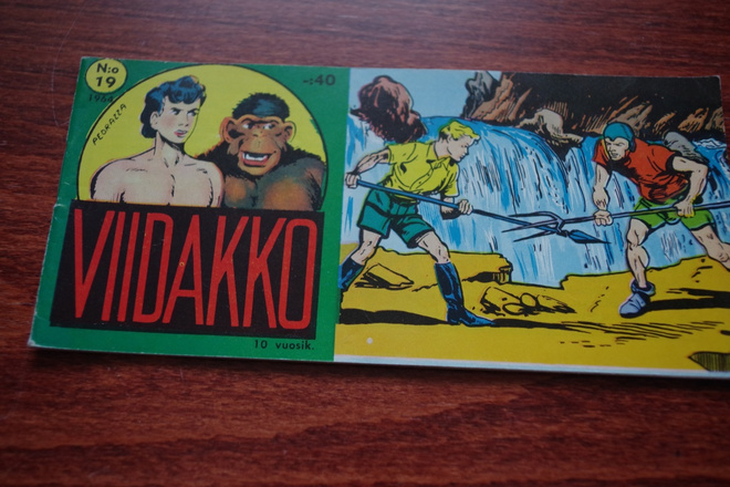Viidakko 19 /1964, KUIN UUSI!