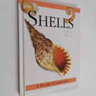 Shells - pikkukuva 1