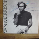 VAN MORRISON - WAVELENGHT LP 1978 - pikkukuva 1