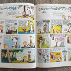 THE CALVIN AND HOBBES - LAZY SUNDAY BOOK - pikkukuva 4