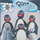 Pingu - Kausi 1 (Tupla DVD) - pikkukuva 1