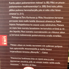 PASKAPOKKARI - pikkukuva 2