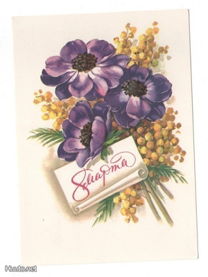 Violetit kukat, mimosat #1602