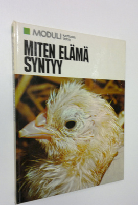 Irma (suom.) Rostedt : Miten elämä syntyy