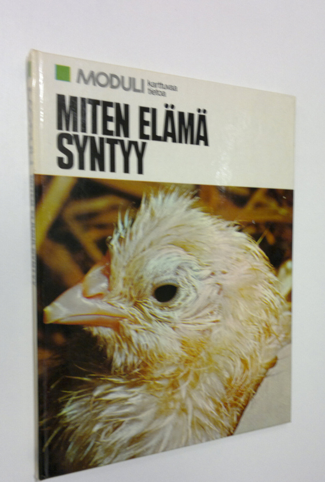 Irma (suom.) Rostedt : Miten elämä syntyy