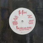 TINA TURNER :: BACK WHERE YOU STARTED :: VINYYLI  PROMO  12" - pikkukuva 1
