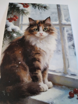Kissa kortti,kulkematon.