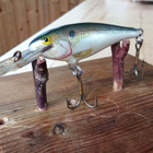 Rapala Deep Runner 5 Ireland - pikkukuva 2