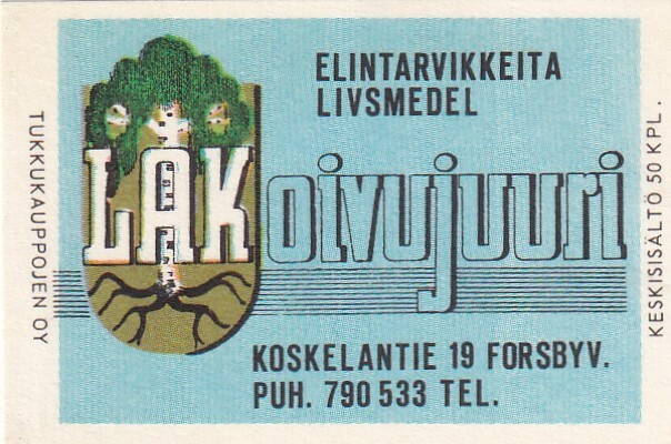 L A Koivujuuri, Koskelantie 19,  s63