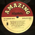 THE MANNISH BOYS ~ Satellite Rock ~ LP Gary Primich - pikkukuva 3