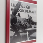 Jukka Raunio : Lentäjän näkökulma 2 - pikkukuva 1