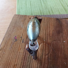 Salmo Tiny 3 - pikkukuva 3