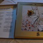 Lauantaitanssit 8 lp kansio - pikkukuva 2