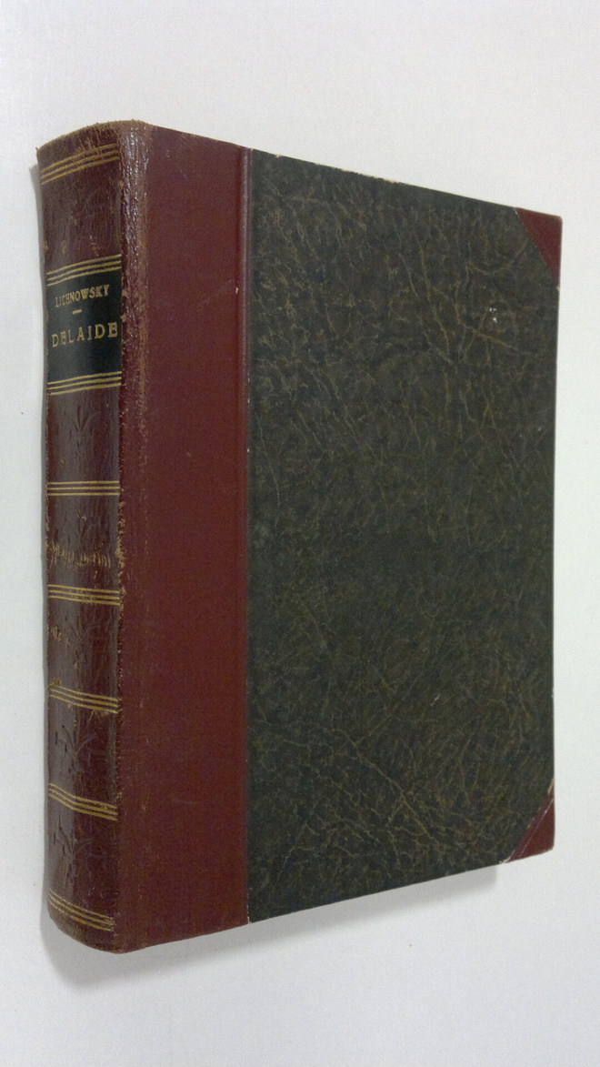 Mechtilde Lichnowsky : Delaide : avioliittoromaani
