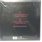 ANDY MCCOY - SOUL SATISFACTION UUSI LP + ANDYN NIMMARI - pikkukuva 2
