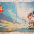 Country Sundown Tupla-LP - pikkukuva 3