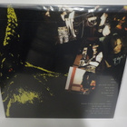 BATHORY - IN MEMORY OF QUORTHON 2009 UUSI LP - pikkukuva 2