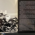 Black America Vols. 1-5 LP boksi - Amerikan mustien historia - pikkukuva 3