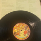 Parker McGee (Atlantic 1976) LP - pikkukuva 3