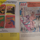 Alf 1989 n.5 - pikkukuva 2