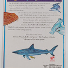 Flick Killerby : Sharks - pikkukuva 2