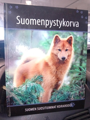 Suomenpystykorva  - Suomen suosituimmat koirarodut