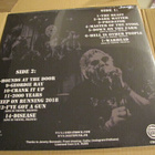 UK Subs Welcome to the 2.0 world LP & CD  Kelt kansi  2022 - pikkukuva 2