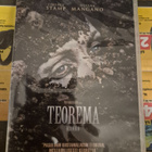 Teorema Kiihko Pier Paolo Pasolini - pikkukuva 1