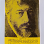 J. P. Donleavy : Holtiton mies - pikkukuva 2