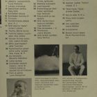 Kotiliesi No 21 marraskuu 1971 - pikkukuva 2