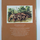 Robert Elman : The living world of Audubon mammals - pikkukuva 2