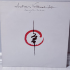 Andreas Vollenweider - Dancing With The Lion - pikkukuva 1