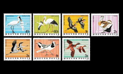 Unkari 3171-7 ** Hortobágyin kansallispuiston lintuja (1977