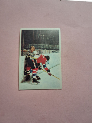 Panda. Jääkiekkokoulu. 37.