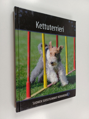 Kettuterrieri