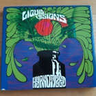 LIQUID VISIONS - Hypnotized (v.2002) - pikkukuva 1