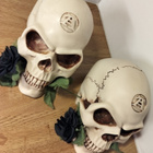 2 kpl Alchemy Gothic, UK -pääkalloja LUONNOLLISESSA KOOSSA!! - pikkukuva 2