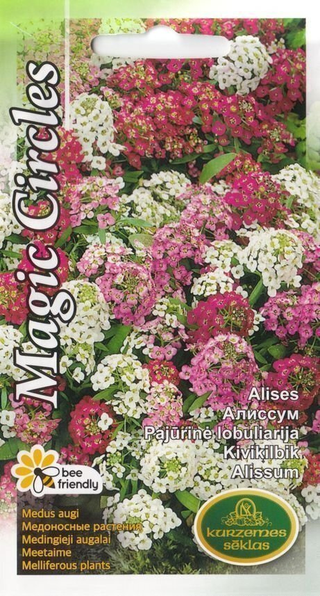 Tuoksupielus 'MAGIC CIRCLES' - siemenet #