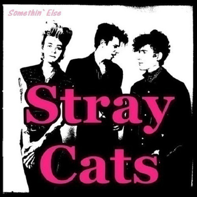 STRAY CATS somethin` else R A R E