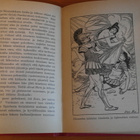 Fridtjuv Berg:Troian sota.Sid.1928. - pikkukuva 3